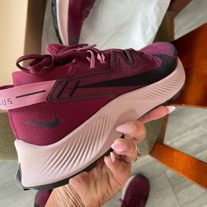 Nike Pegasus trail 2